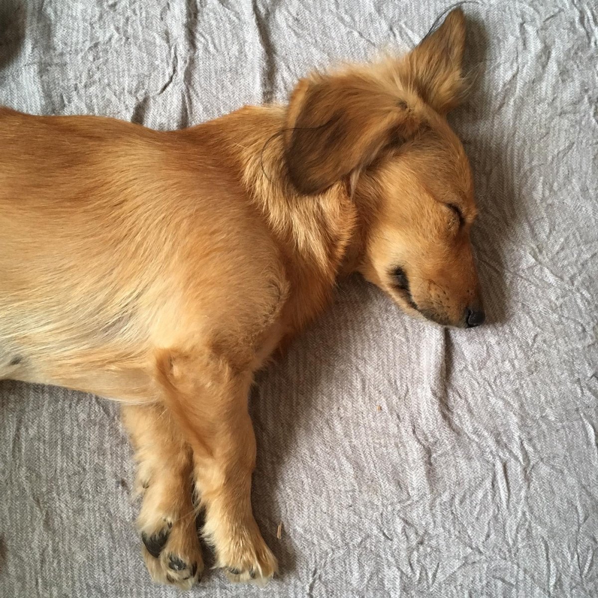 The Wonders of Sleep